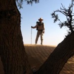 Standing proud in the Wahiba Sands, Oman