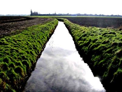 Cambridge Stream - Sarah Jones