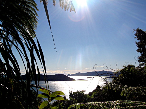 Flora, sea and islands over Queen Charlotte Sound