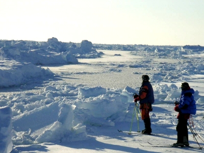 How to Get to the North Pole by Tim Moss