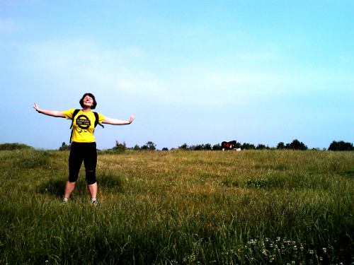 Meadow on the Central Line - Running the Tube