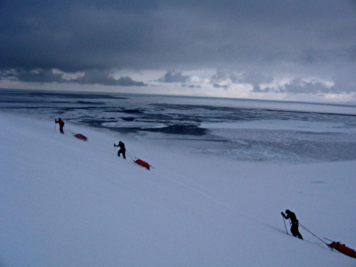 Pulk dragging in bad weather on Svalbard