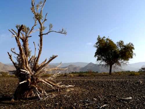 Camping near Wadi Damm