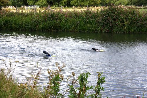 Front crawling - Swimming the Thames