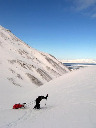 Sled hauling in Svalbard