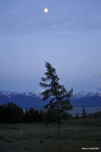 Moon rising over Kurai village, Russia (Photo: David Tett)