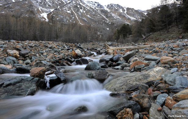 Stream in the Russian Altai (Photo: David Tett)