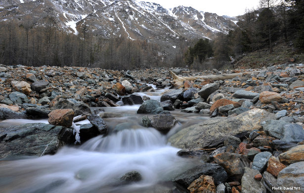 Health Risks of Cold Water Swimming