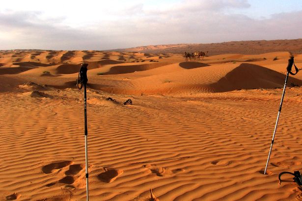 Walking poles and camels in the Wahiba Desert