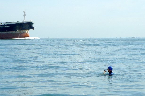 Thom vs Tanker - Swimming the Solent