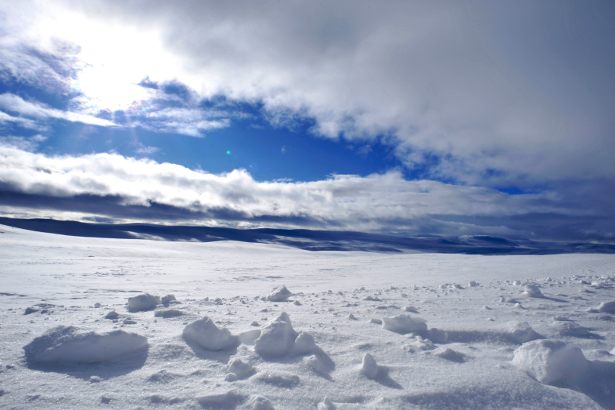 Snow and ice (Photo: Robert Hollingworth)