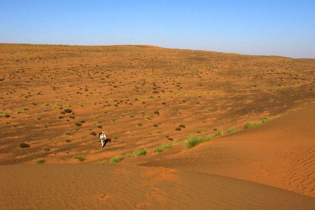 Lone walker in the desert