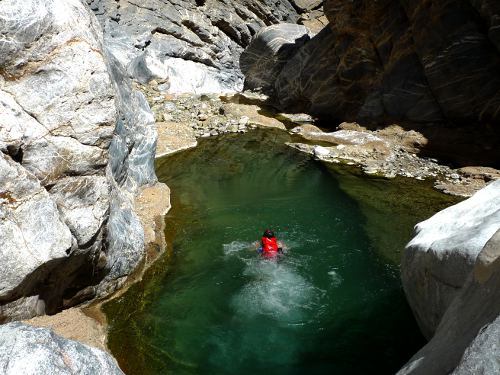 The Best Books for Wild Swimmers