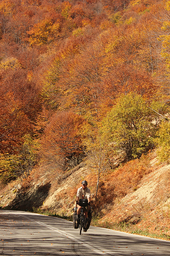 Autumn colour ın Greek mountaıns