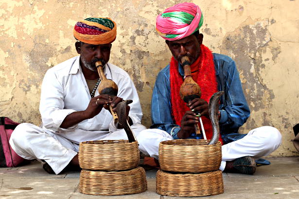 Indian Snake Charmers