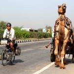 Cycling in India - Bike vs Camel