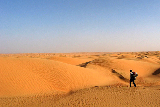 Endless dunes in the Wahiba Sands