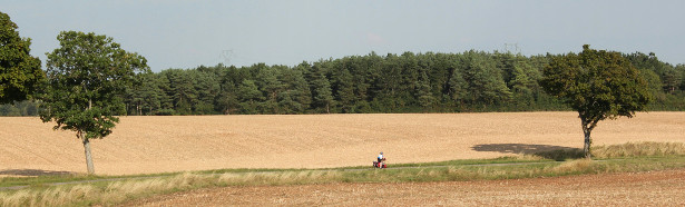 Cycling in France