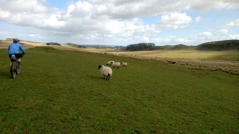 Bikepacking in Northumberland National Park