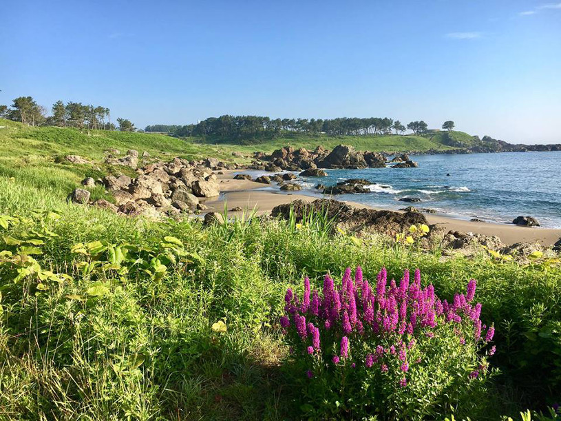 Walking Japan's Tsunami-Affected Coastline - Robin Lewis