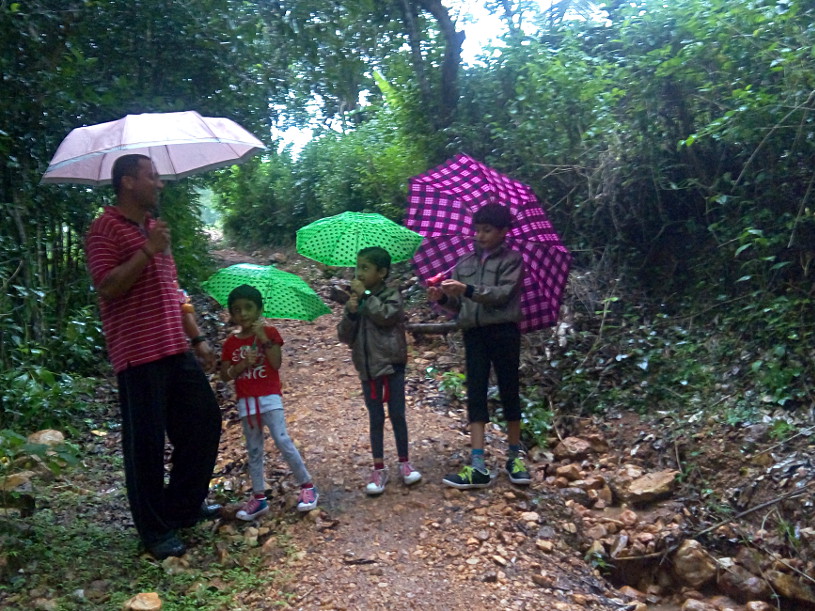 Walking in the Western Ghats