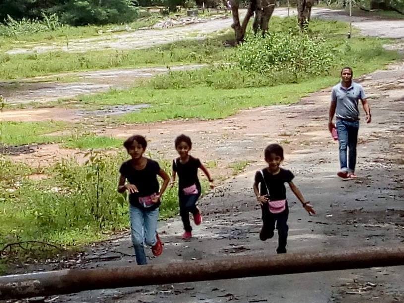 Walking in the Western Ghats