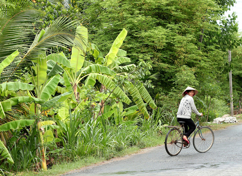 Vietnamese cyclist