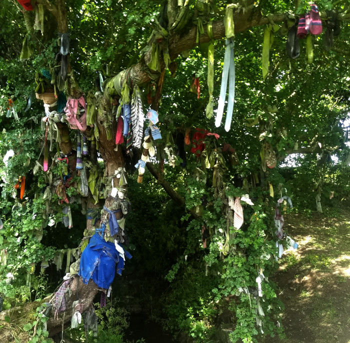 Joanne McCallum - SUP Lough Neagh - Holy Well