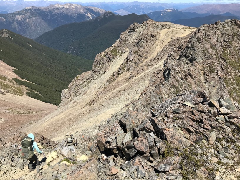 Chase Lewine - Walking New Zealand (Te Arora Trail)