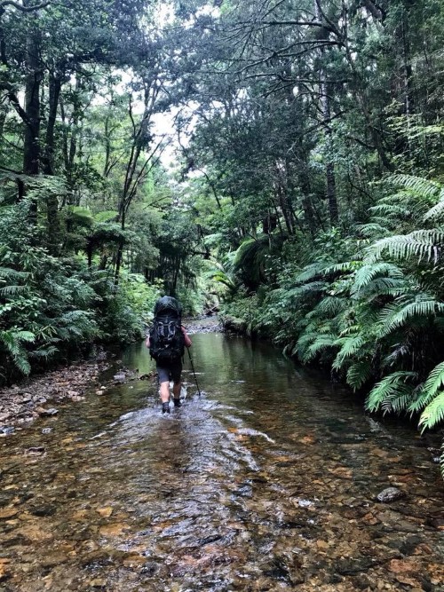 Chase Lewine - Walking New Zealand (Te Arora Trail)