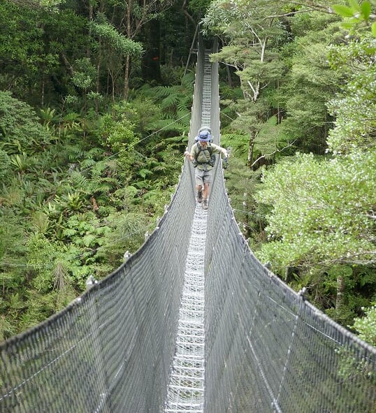 Chase Lewine - Walking New Zealand (Te Arora Trail)