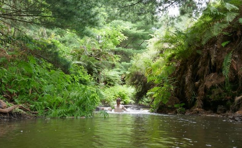 Chase Lewine - Walking New Zealand (Te Arora Trail)