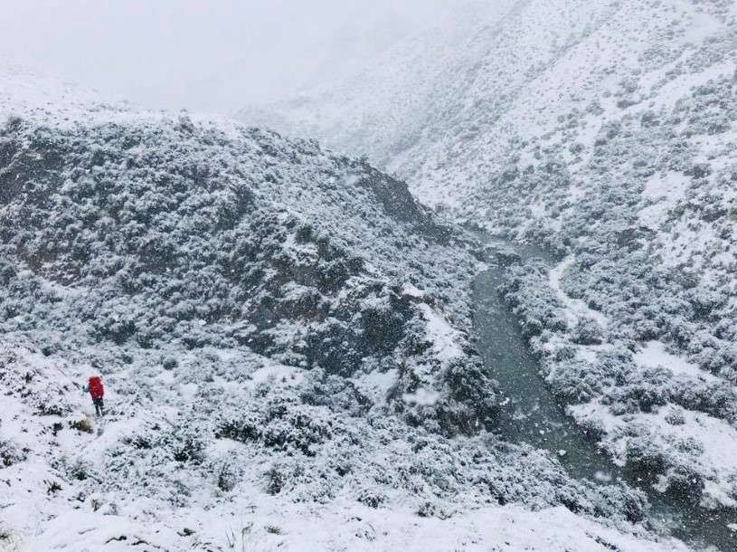 Chase Lewine - Walking New Zealand (Te Arora Trail)