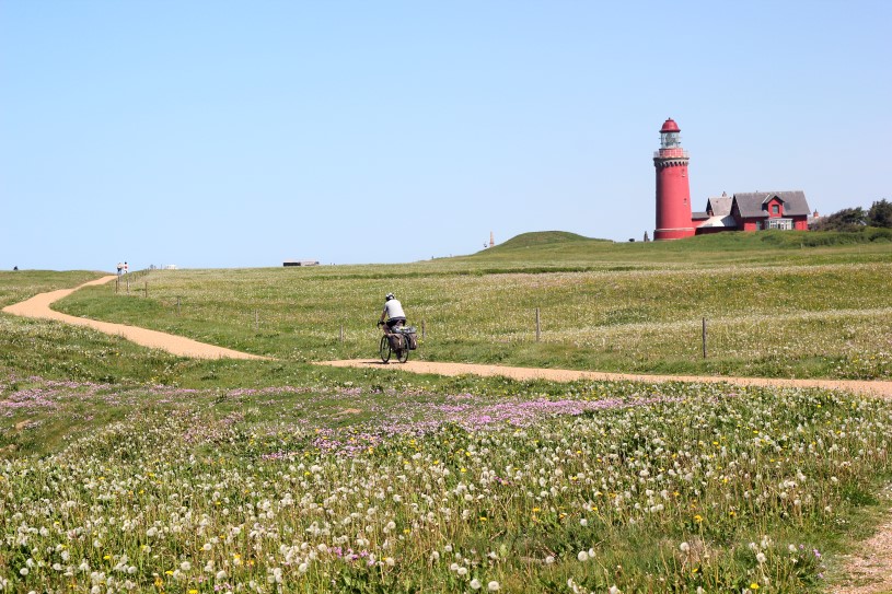 Cycling Denmark while pregnant