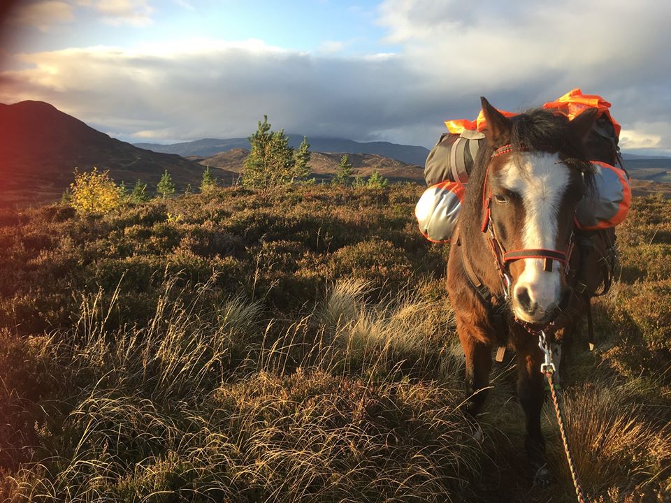 Sue Manning - Scotland with a Pack Pony