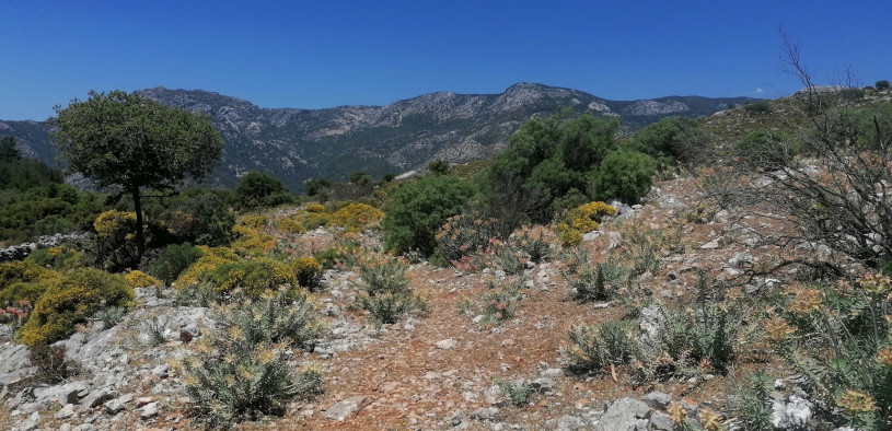 Lycian Way: tricky route finding